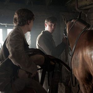 Foto Caballo de guerra