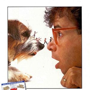 Foto Querida, encogí a los niños