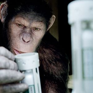 Foto El planeta de los simios (R)evolución