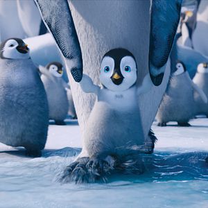 Foto Happy Feet 2: El pingüino