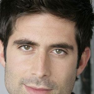 Foto Stephen Schneider