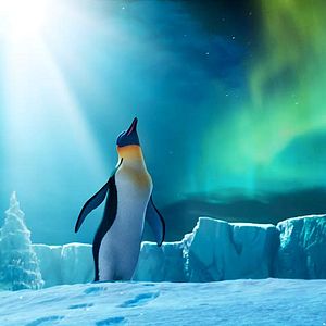 Foto Happy Feet 2: El pingüino
