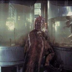 Foto Parque Jurásico III