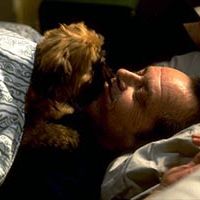 Foto Mejor... Imposible