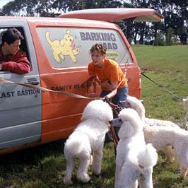 Foto Dulce noviembre