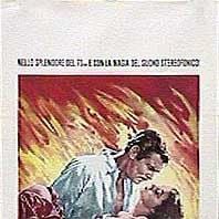 Foto Lo que el viento se llevó