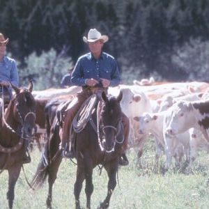 Foto El señor de los caballos