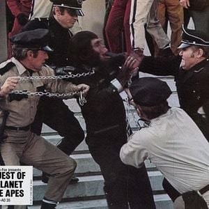 Foto La conquista del planeta de los simios