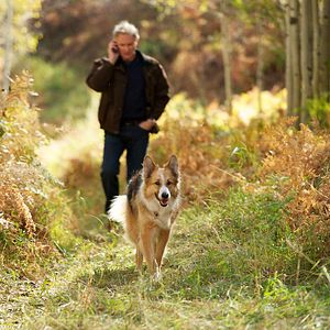 Foto Darling Companion