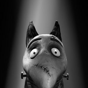 Foto Frankenweenie