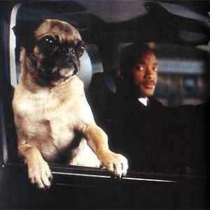 Foto Hombres de negro II