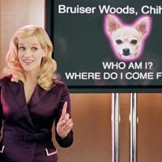 Foto Legalmente rubia 2: más rubia que nunca