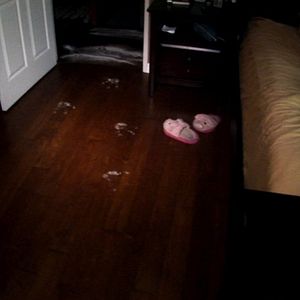 Foto Actividad Paranormal