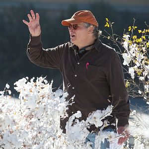 Foto Darling Companion