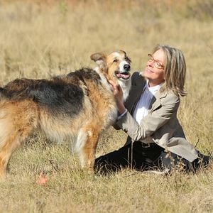 Foto Darling Companion