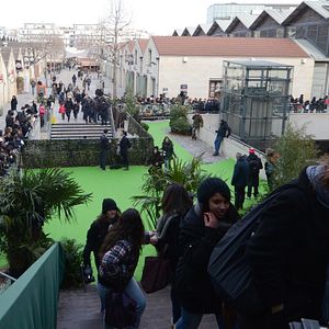 Foto Viaje 2: La Isla Misteriosa