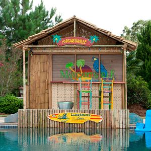 Foto Qué esperar cuando estás esperando