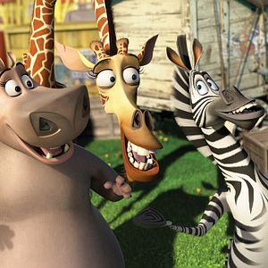 Foto Madagascar 3: Los fugitivos