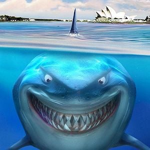 Foto Buscando a Nemo