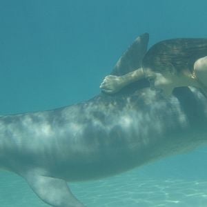 Foto H20: Sirenas del Mar