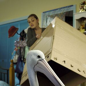 Foto H20: Sirenas del Mar