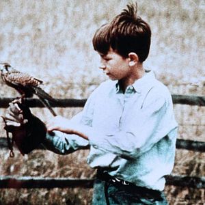 Foto David Bradley (II)