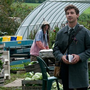 Foto The company you keep