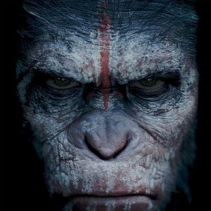 Foto El planeta de los simios: Confrontación