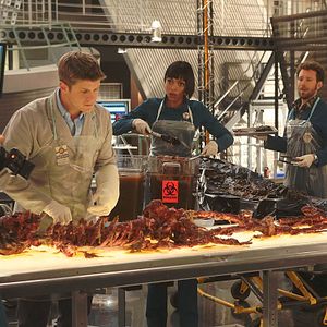 Foto Emily Deschanel