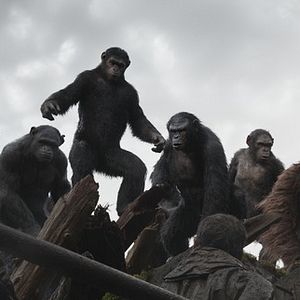 Foto El planeta de los simios: Confrontación