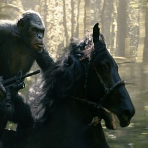 Foto El planeta de los simios: Confrontación