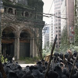 Foto El planeta de los simios: Confrontación