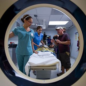 Foto Winter - El delfín 2