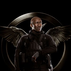 Foto Los juegos del hambre: Sinsajo - Parte 1