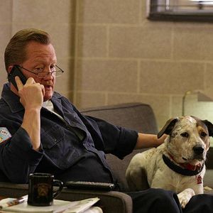 Foto Christian Stolte