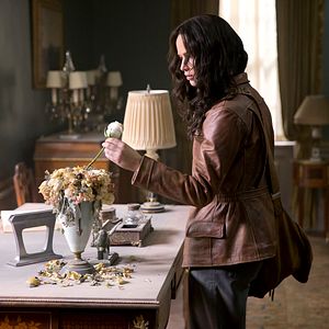 Foto Los juegos del hambre: Sinsajo - Parte 1