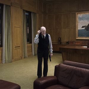 Foto Una paloma se posó en una rama a reflexionar sobre la existencia