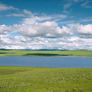 Foto El último lobo