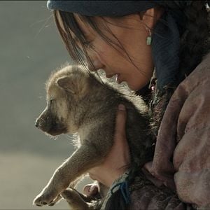 Foto El último lobo