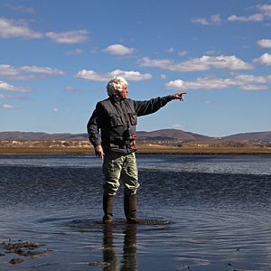 Foto El último lobo