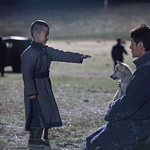 Foto El último lobo