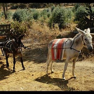 Foto La luz con el tiempo adentro
