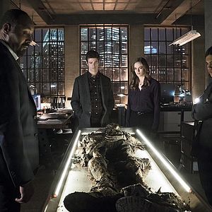 Foto Danielle Panabaker