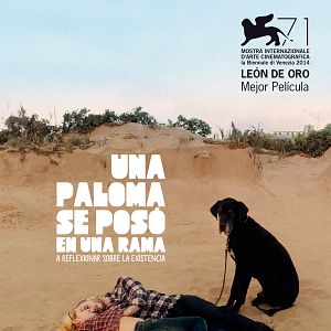 Foto Una paloma se posó en una rama a reflexionar sobre la existencia