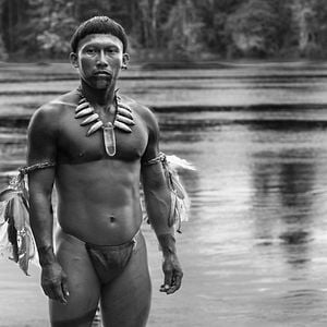 Foto El abrazo de la serpiente