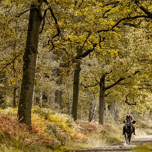 Foto Georgia Scalliet