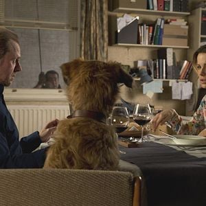 Foto Absolutamente todo