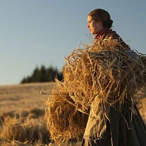 Foto Canción del atardecer