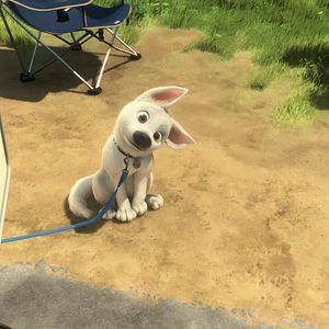 Foto Bolt: Un perro fuera de serie