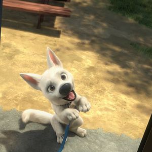 Foto Bolt: Un perro fuera de serie